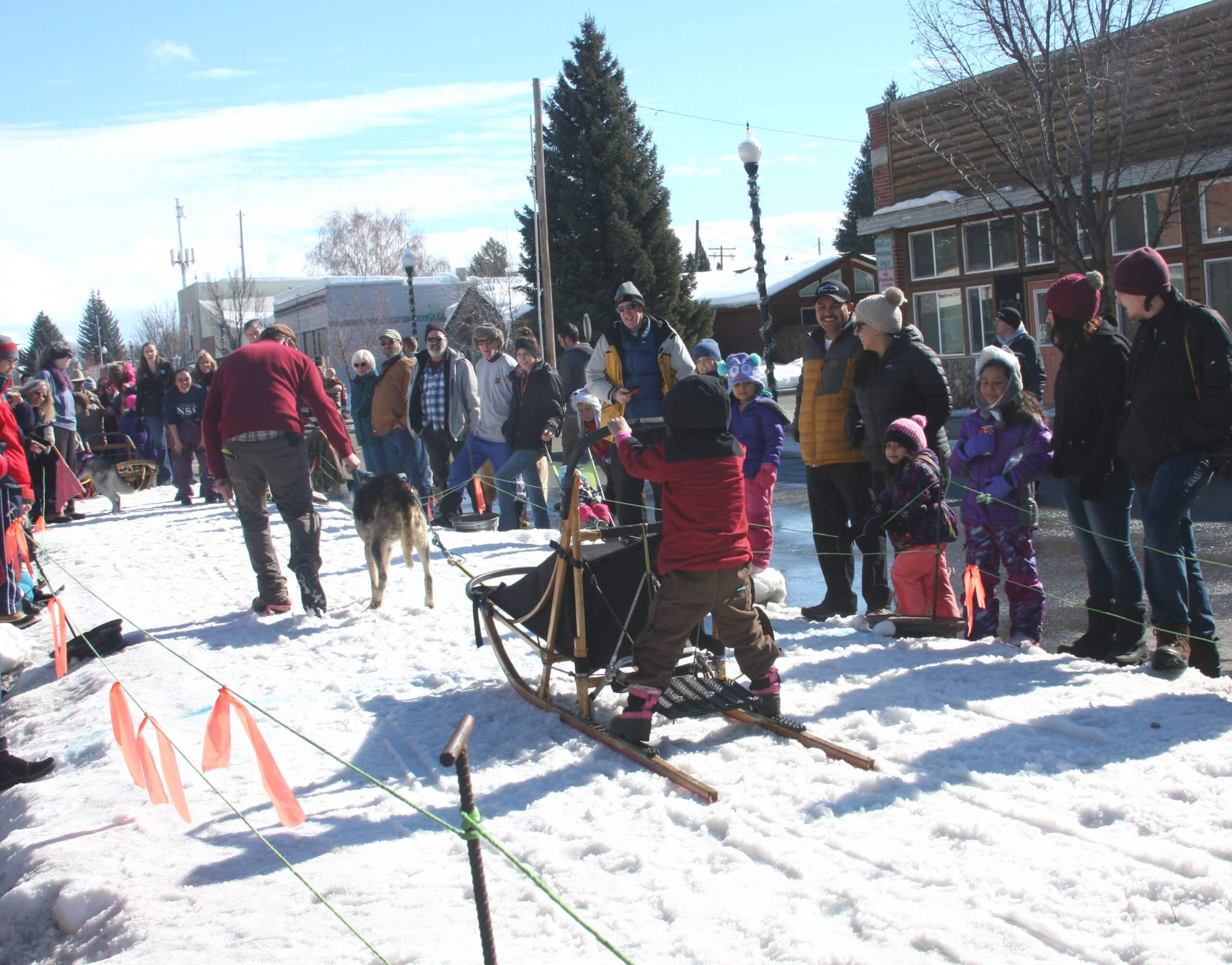 The American Dog Derby: A Howling Good Time