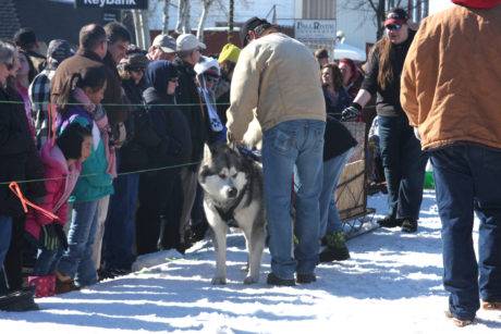 Sitka pulled 480 pounds in the Weight Pull competition.