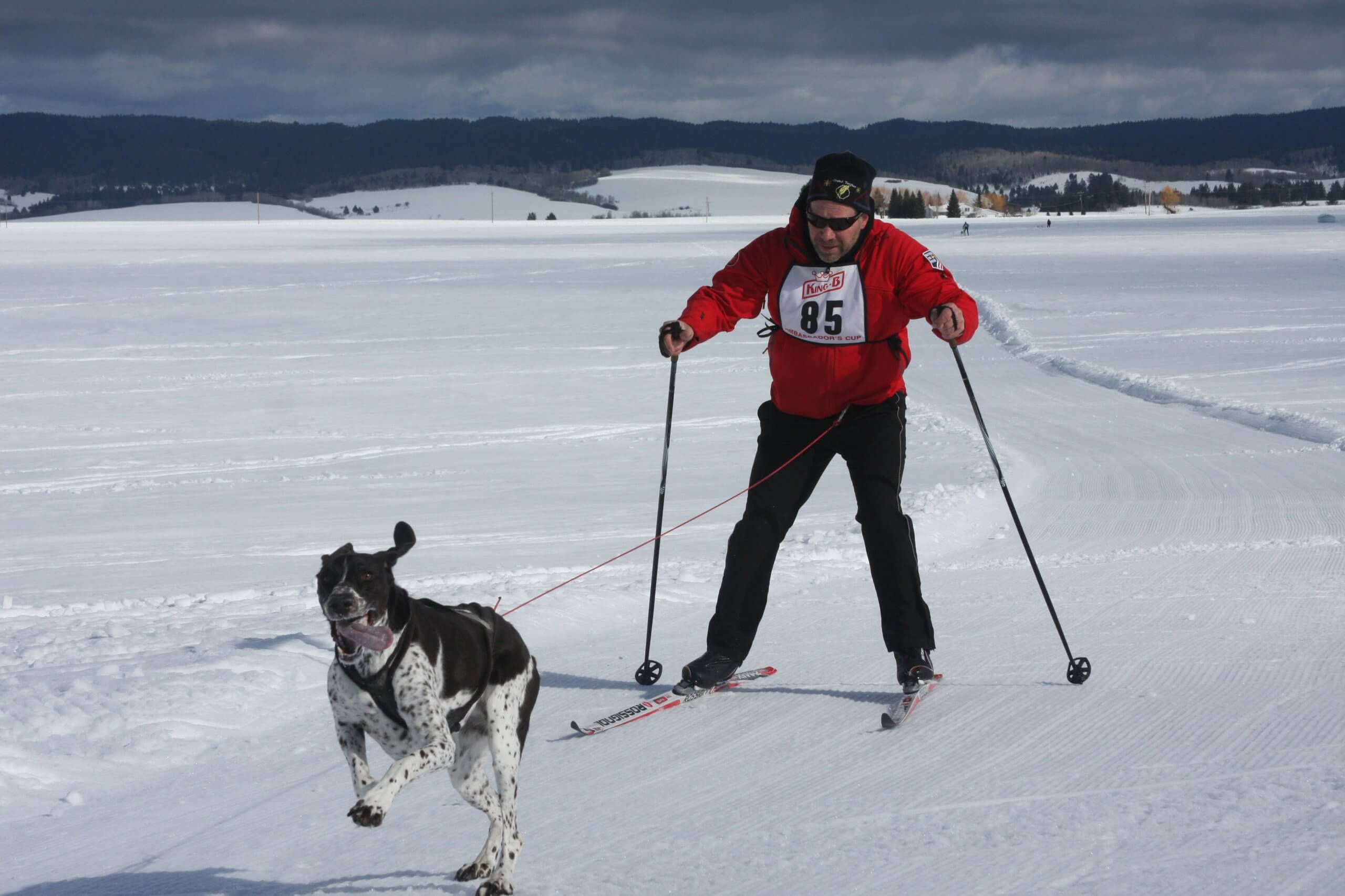 The American Dog Derby: A Howling Good Time