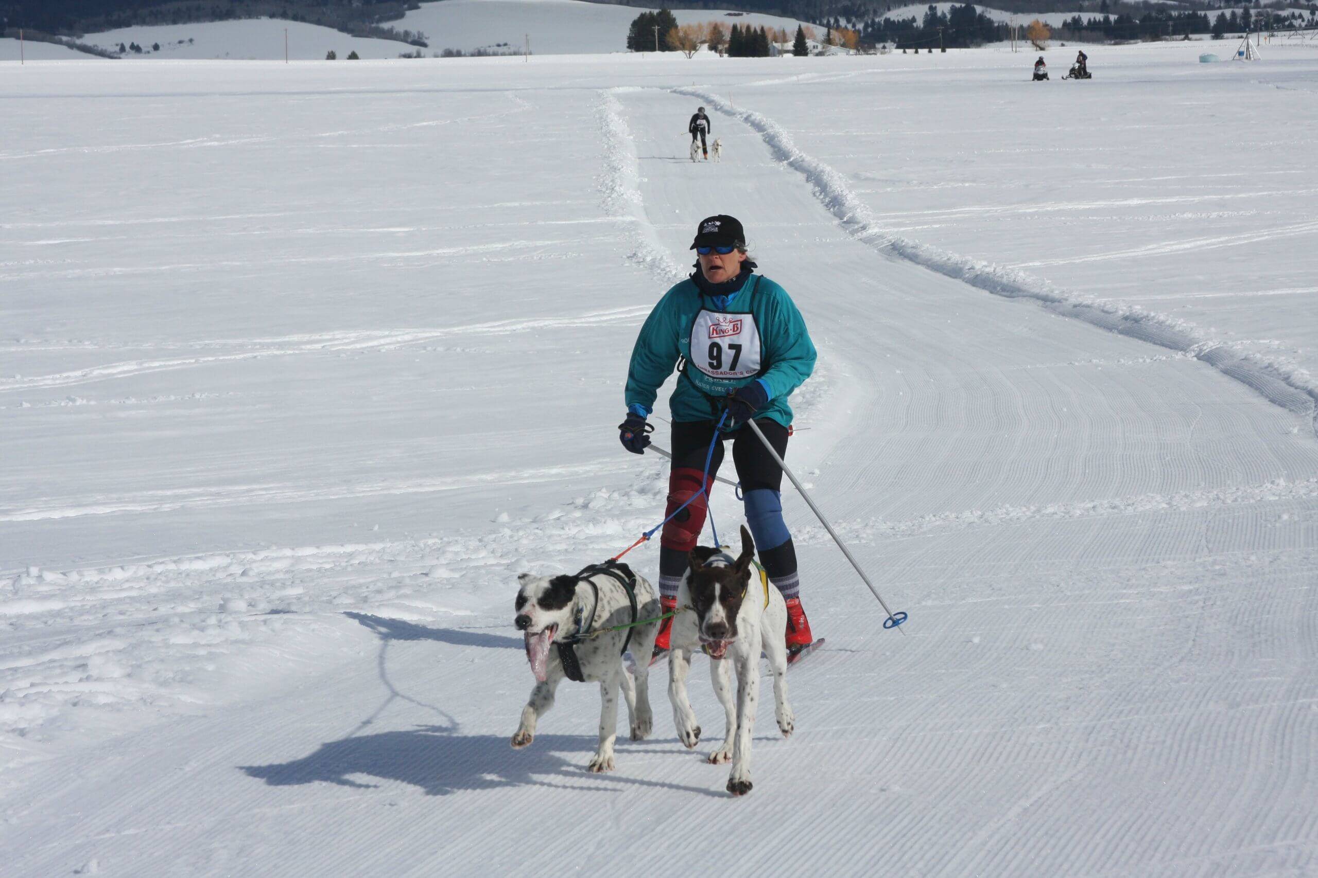 The American Dog Derby: A Howling Good Time