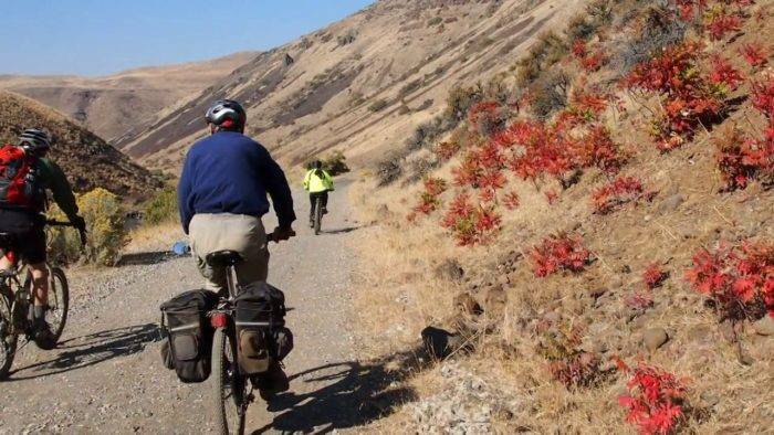 cyclists biking in a canyon