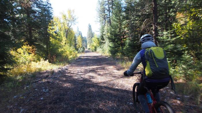 cyclist in forested area