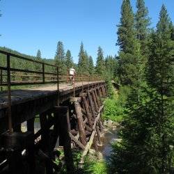 cyclist riding on an old train trestle