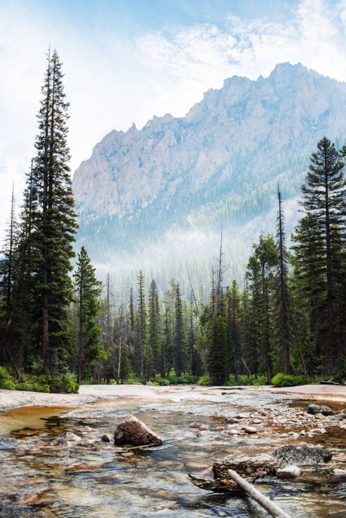 Towering mountains over a creek.