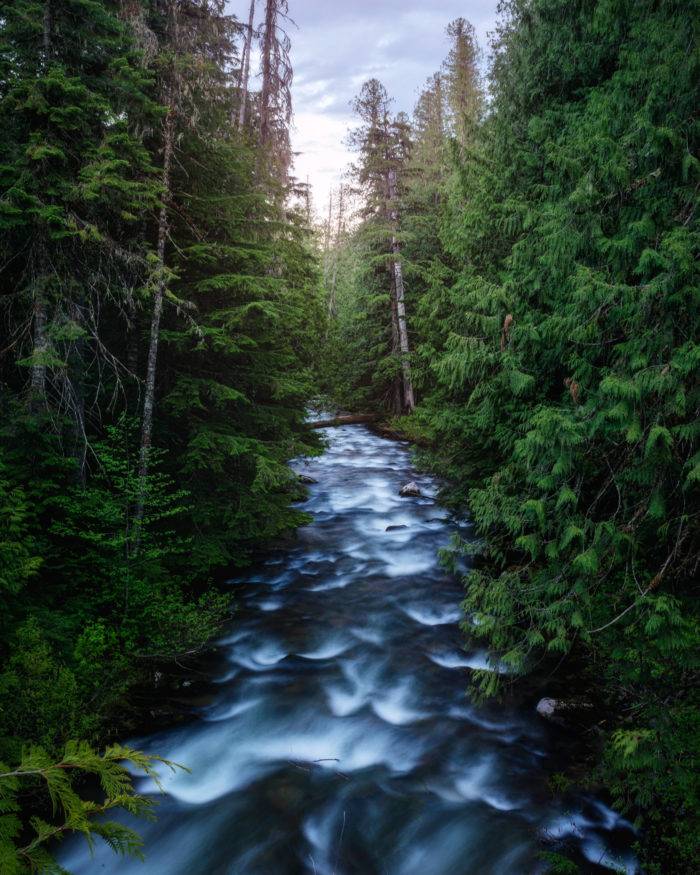 A river running through a heavily wooded area.