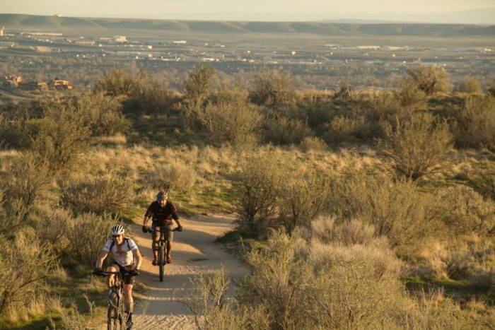 Two mountain bikers on a foothills trail.