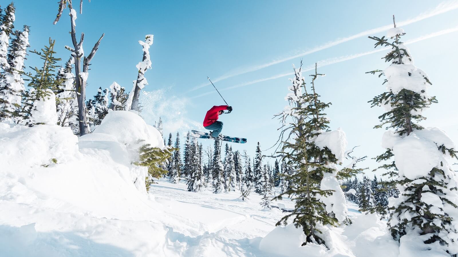 A skier wearing a red jacket and blue pants flies off a jump above pillowy snow with evergreen trees in the background.