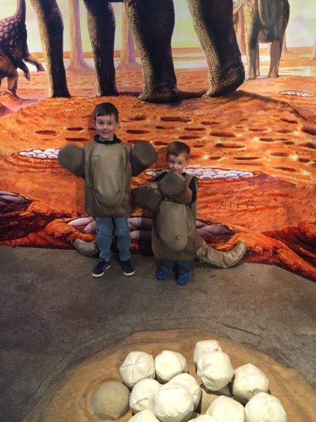 Two boys standing in front of dinosaur eggs.