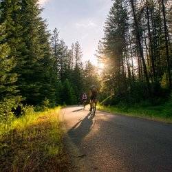 2 cyclists in a forest.