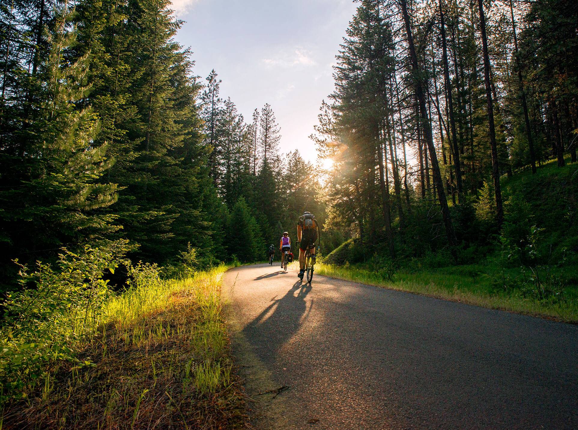 2 cyclists in a forest.