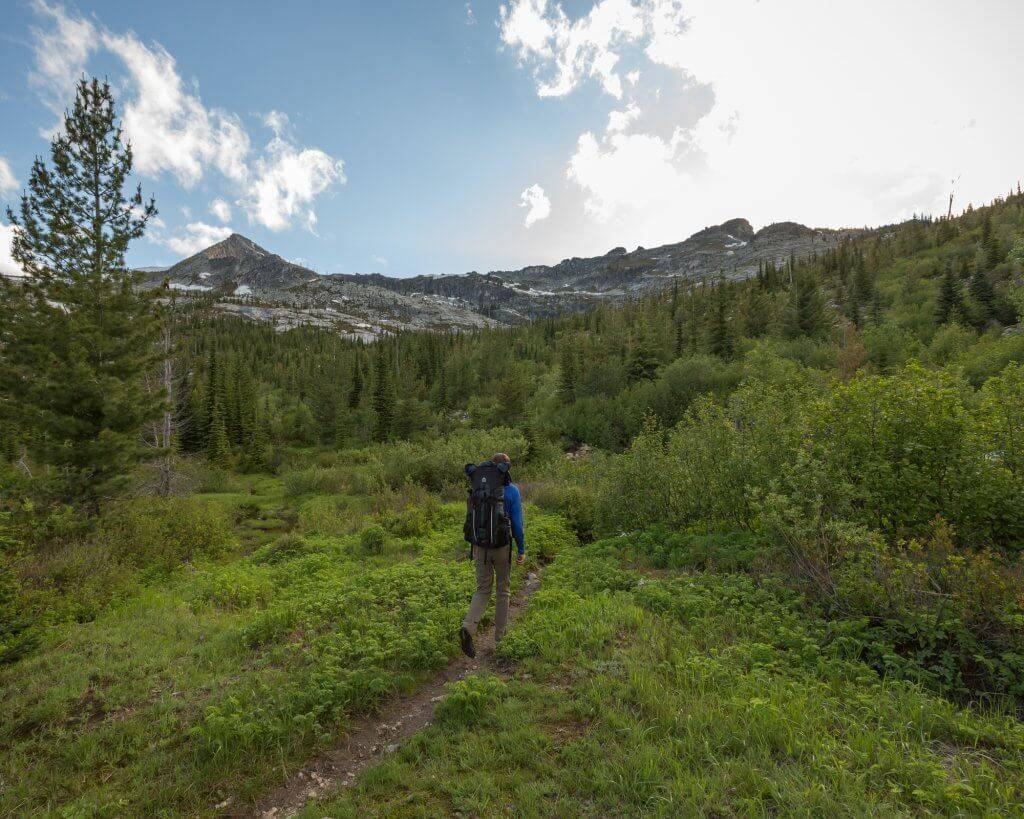 man hiking in green mountains