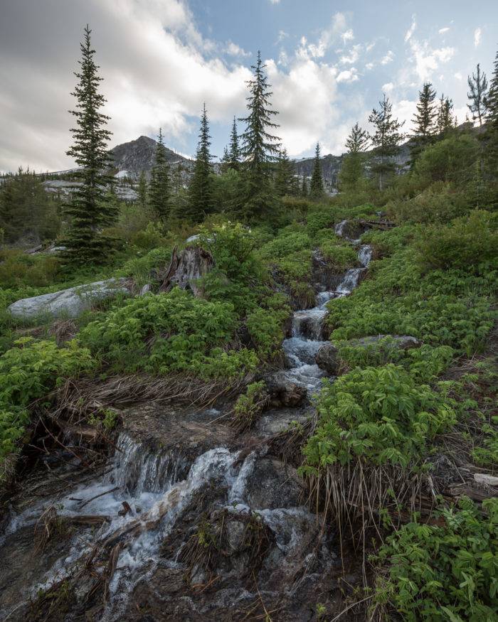 A waterfall on a dense mountainside.