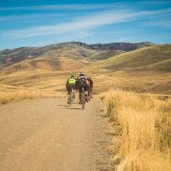 Small group of riders ride on a gravel road surrounded by amber grasses, with mountains and blue skies ahead.