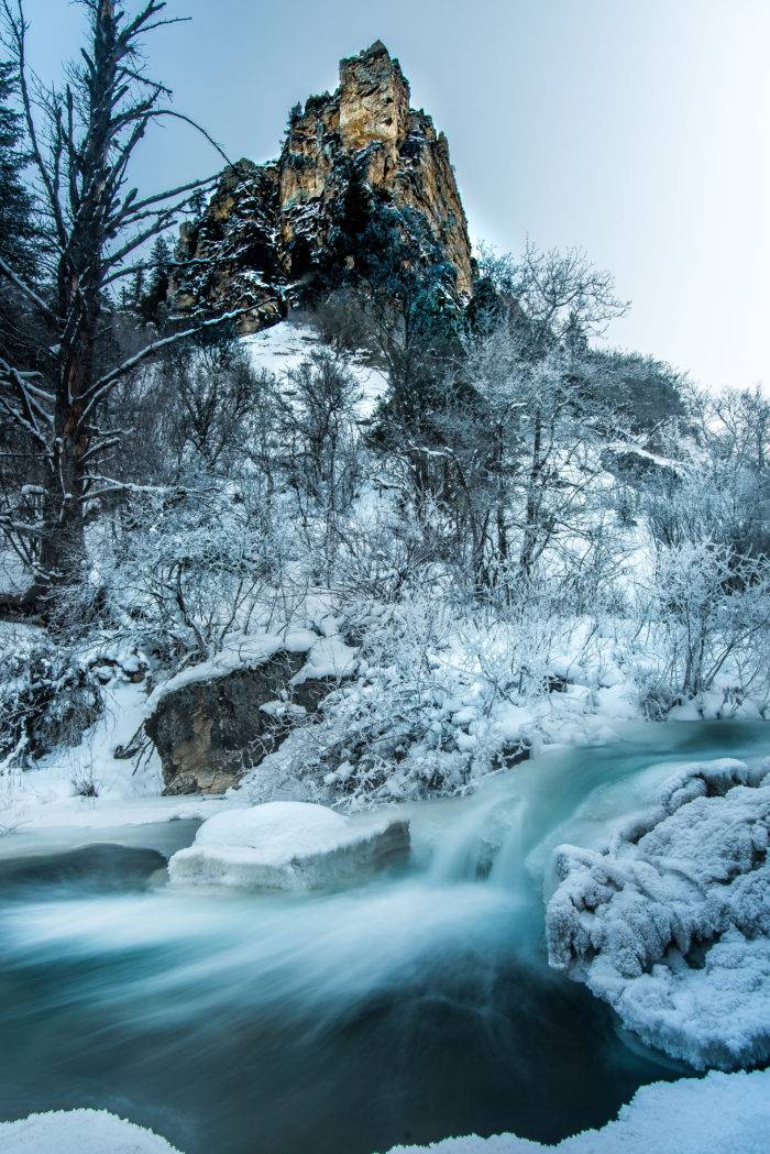 Snowy morning along Palisades Creek.