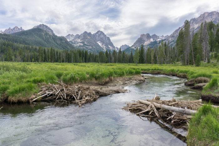 stream with mountains in the background.