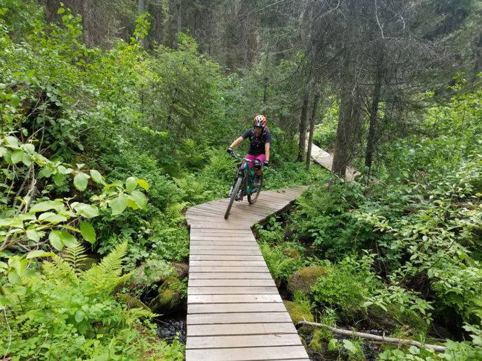 Cyclist riding on wooden boardwalk in a forest.