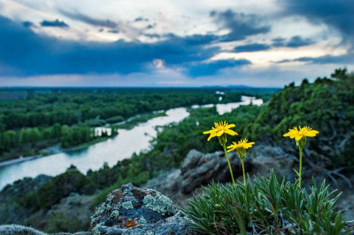 Snake river at sunset