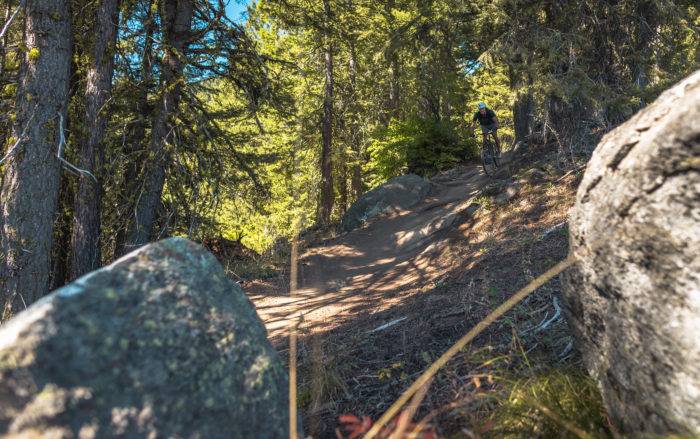 mountain bike rider going through dense forest 