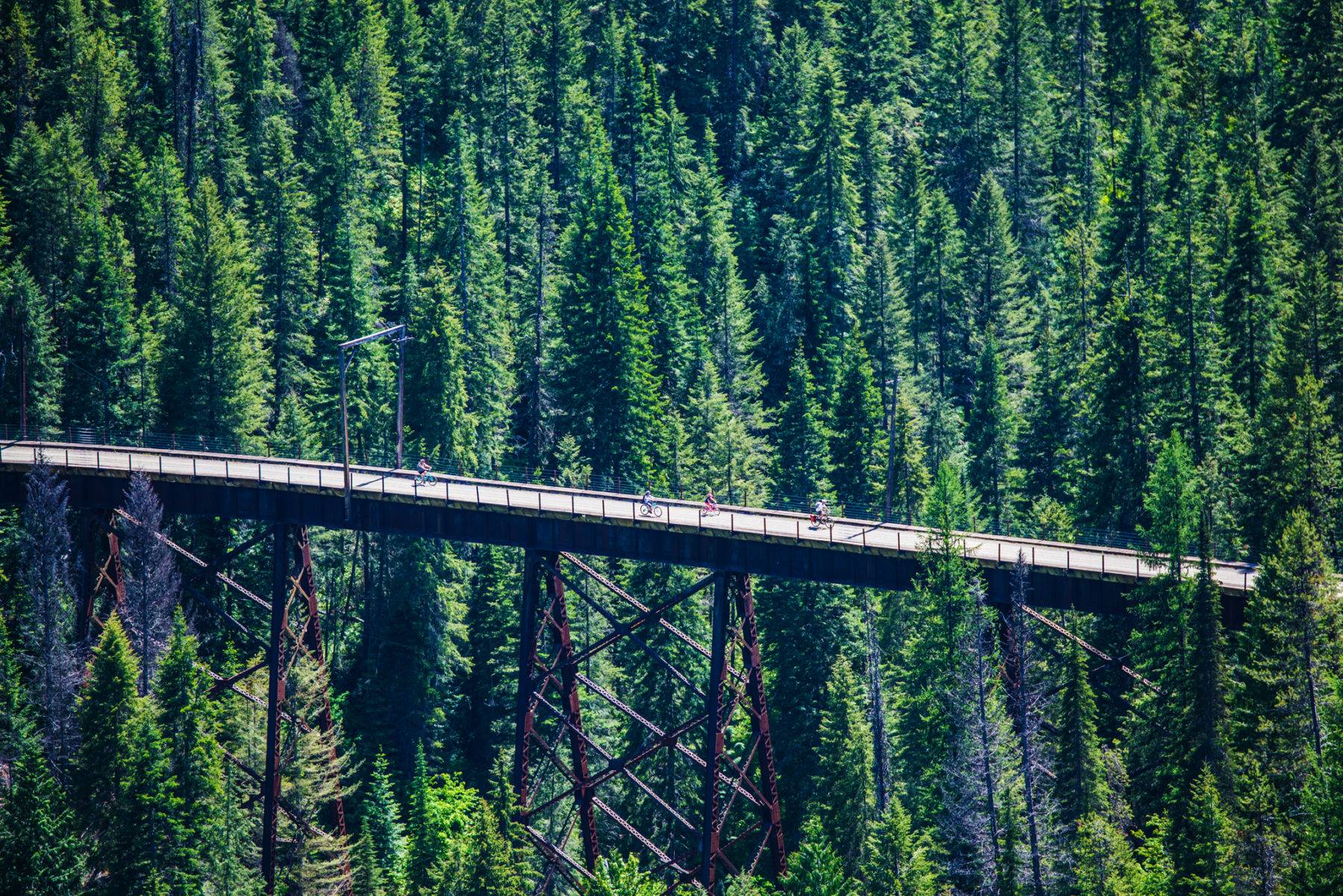 Riding over a trestle bridge on the Route of the Hiawatha