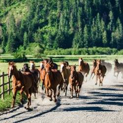 Guided horseback rides at Red Horse Mountain Ranch.