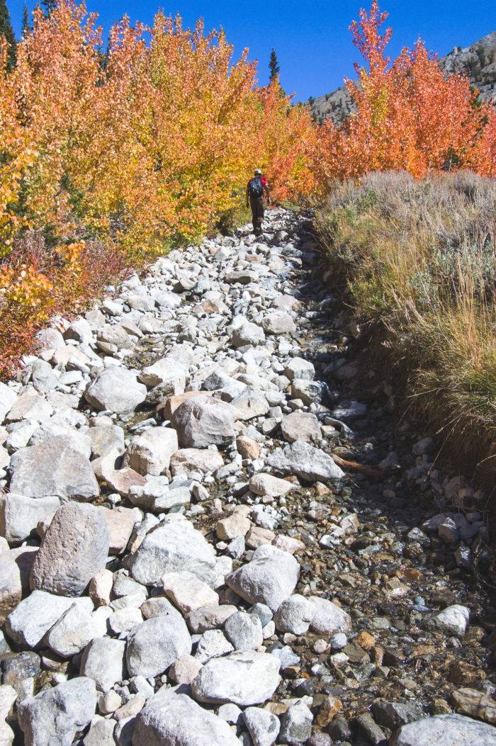 hiker walking along boulder trail with colorful fall foliage