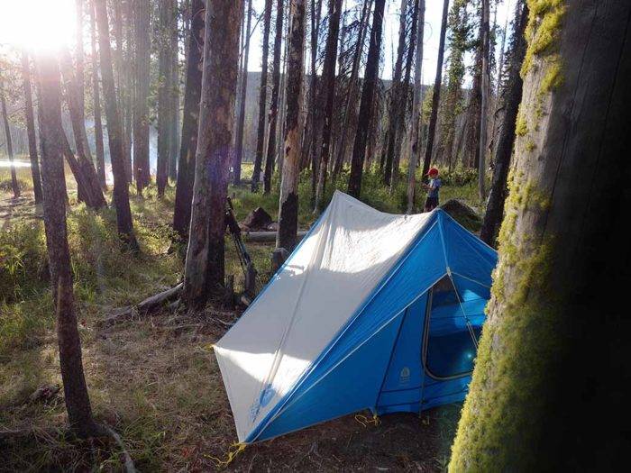 tent at a campsite in pine forest