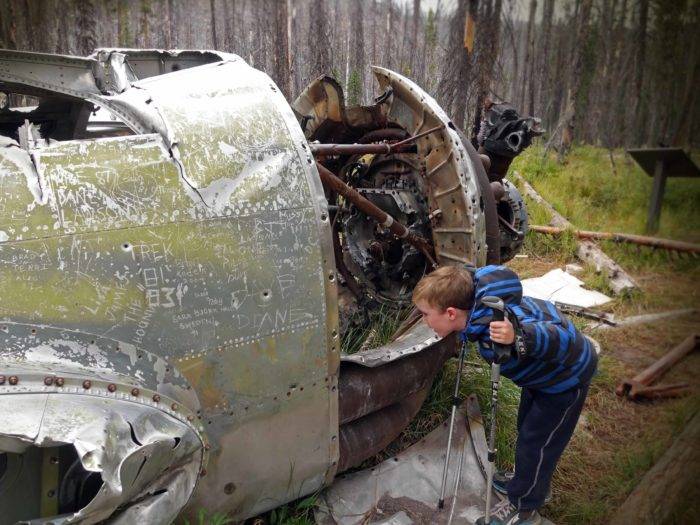 child looking at body of old crashed plane in pine forest