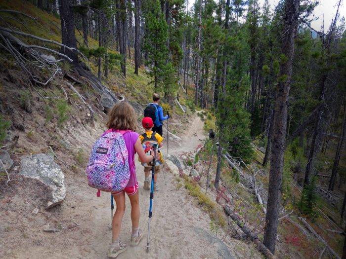 family hiking on a trail in pine forest