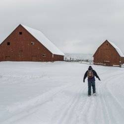 person snowshoeing near old buildings