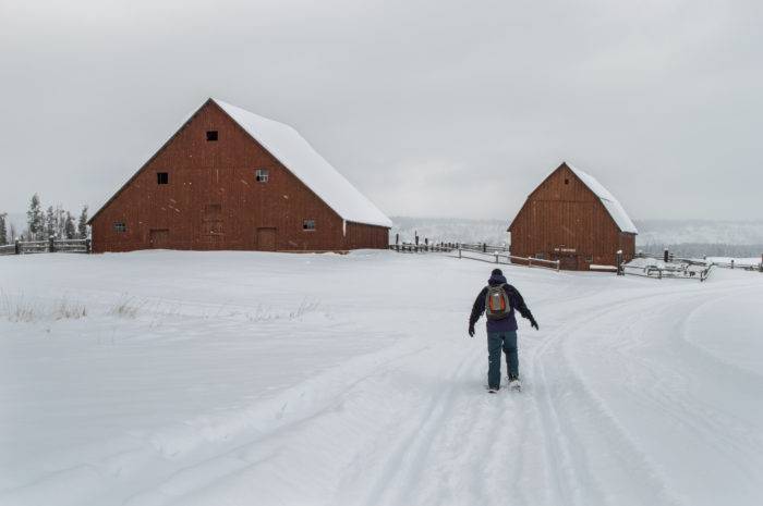 person snowshoeing near old buildings