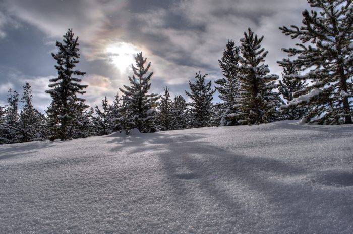 sun reflecting off snow