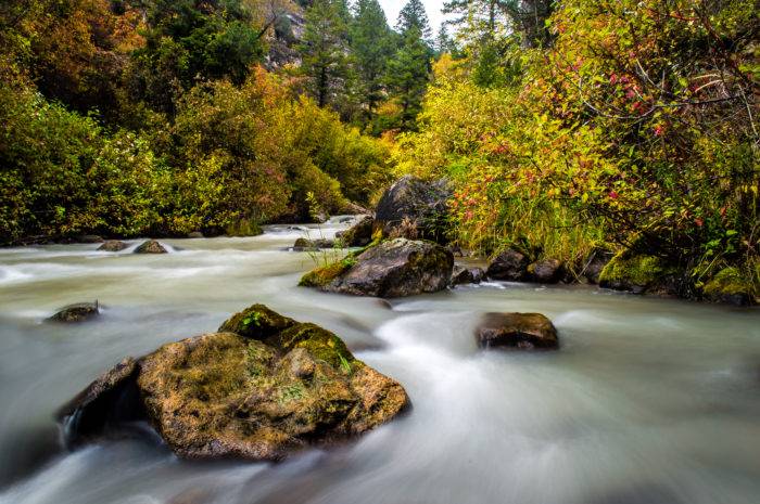 fall colors surrounding river