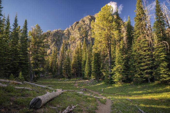 Paths lead from campsites to Seven Devils Lake at the Seven Devils Campground.