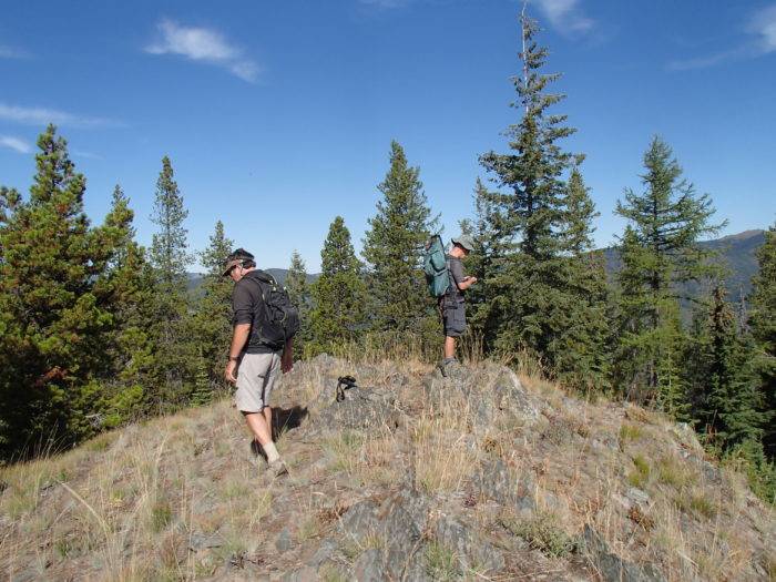 men standing on top of mountain surrounded by dense forest