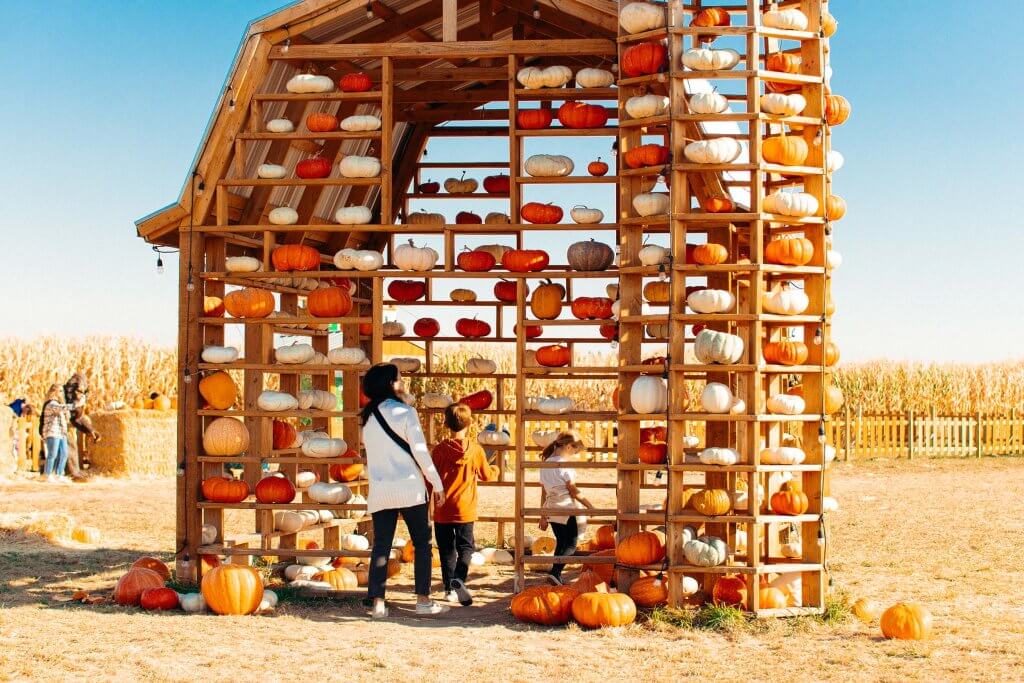 A family looks at colorful pumpkins towering above at Lowe Family Farmstead.