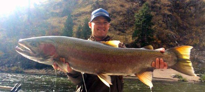 man holding steelhead.