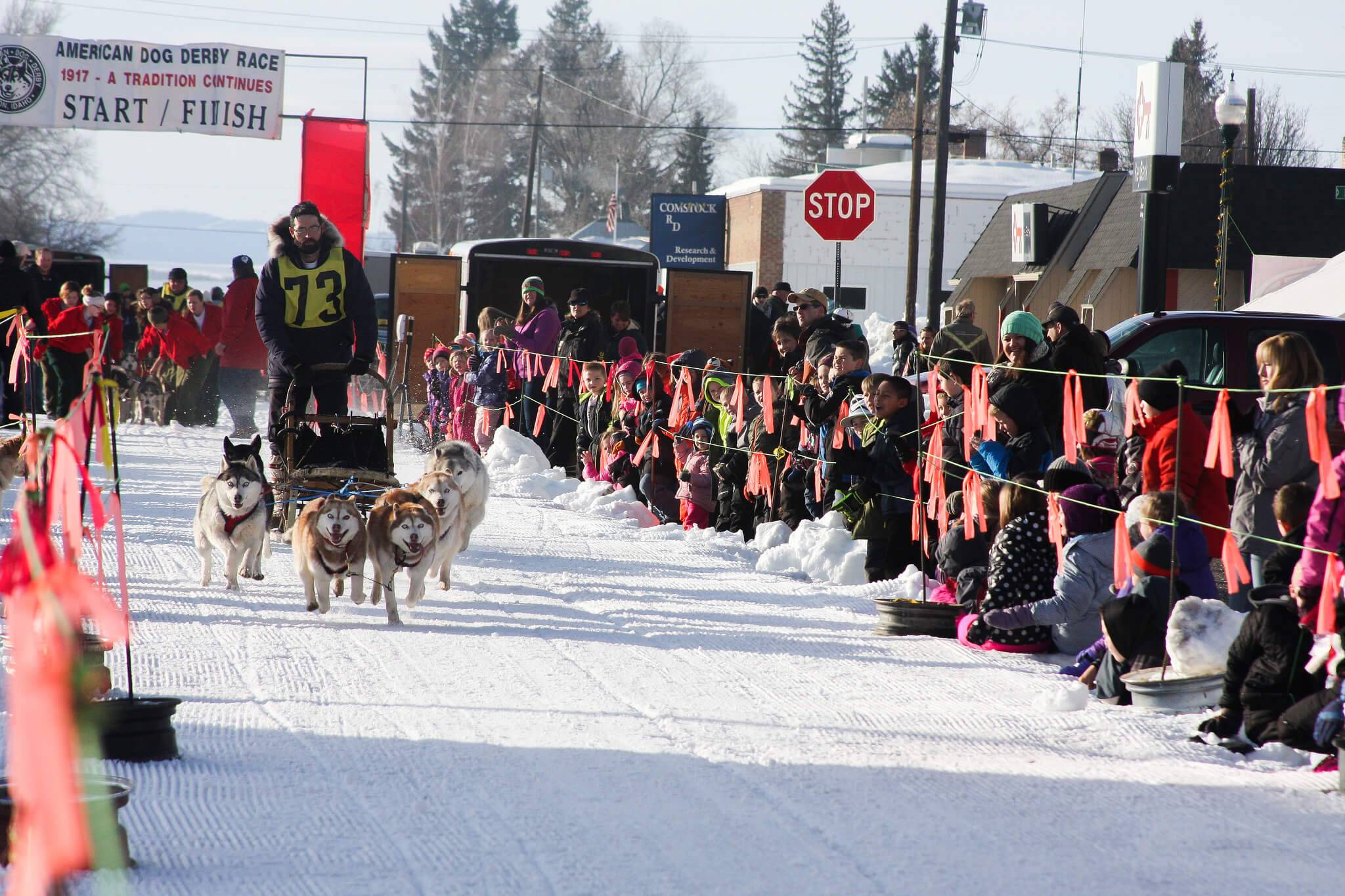 A group of dogs pull a man standing on a dogsled as a crowd of onlookers watch at the American Dog Derby in Ashton. 