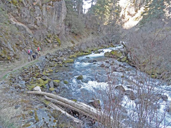 people hiking along a river