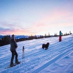 Two people and their dog snowshoeing in Victor.