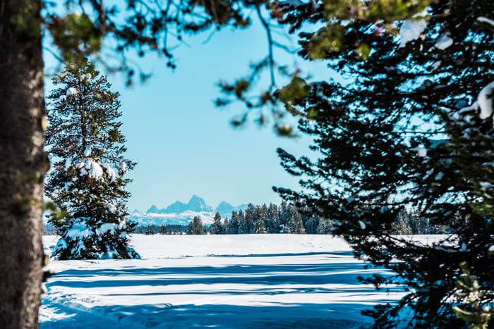 A snow covered meadow with the Teton Mountains in the distance.