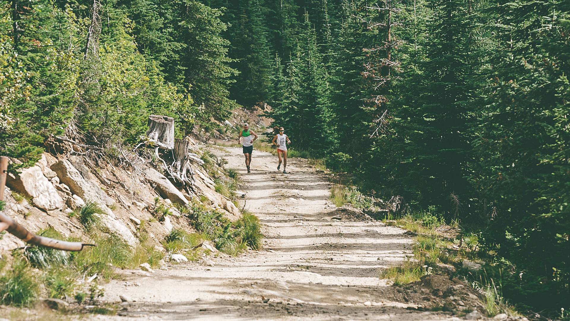 two runners on a mountain trail