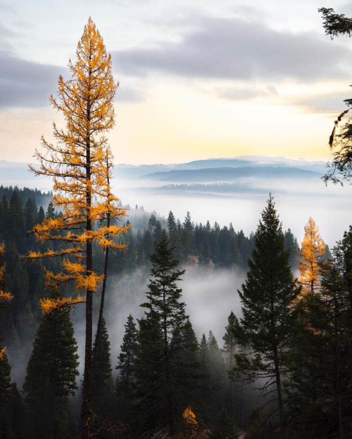 Boise National Forest. #VisitIdaho Share: @knowledgeableidiot