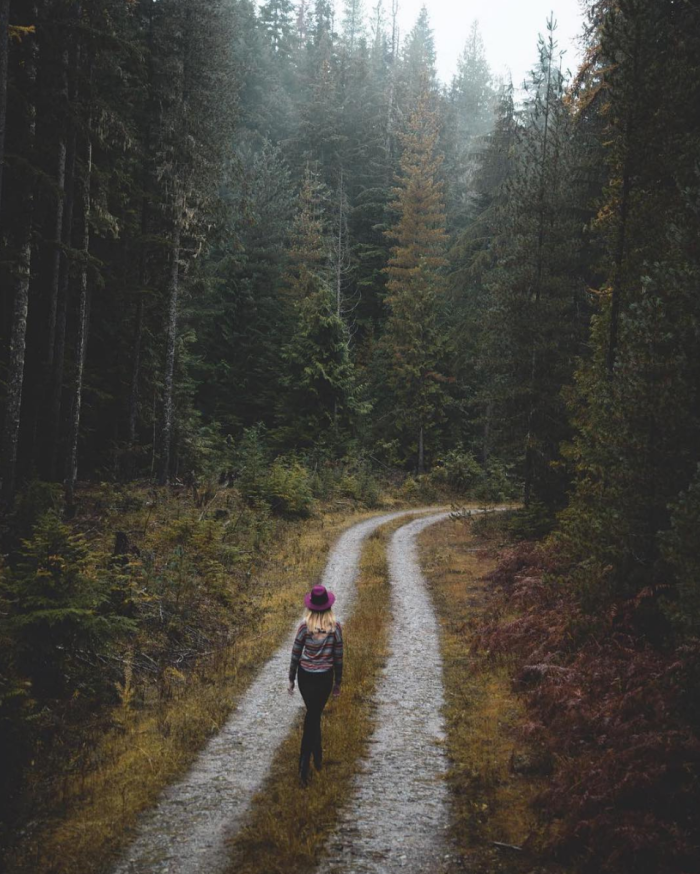 Priest Lake, Idaho. #VisitIdaho Share: @stevenscarcello