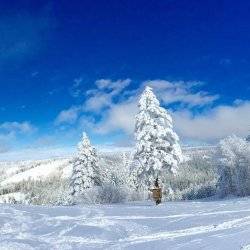 Bluebird skies overlook snowcovered fatbike trails at Kelly Canyon Ski Area.