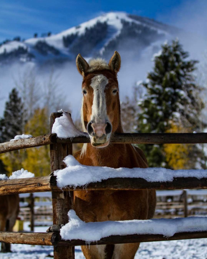 Sun Valley, Idaho. #VisitIdaho Share: @oliverguyphoto