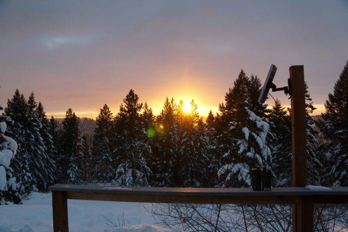 View from the deck showing the sun set below the treetops with a purple hue.