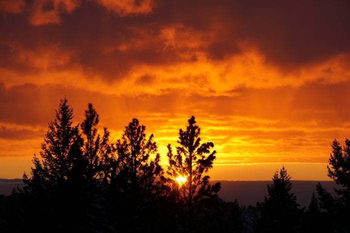 Dark trees silhouetted against a brilliant orange, cloud-laced sky.