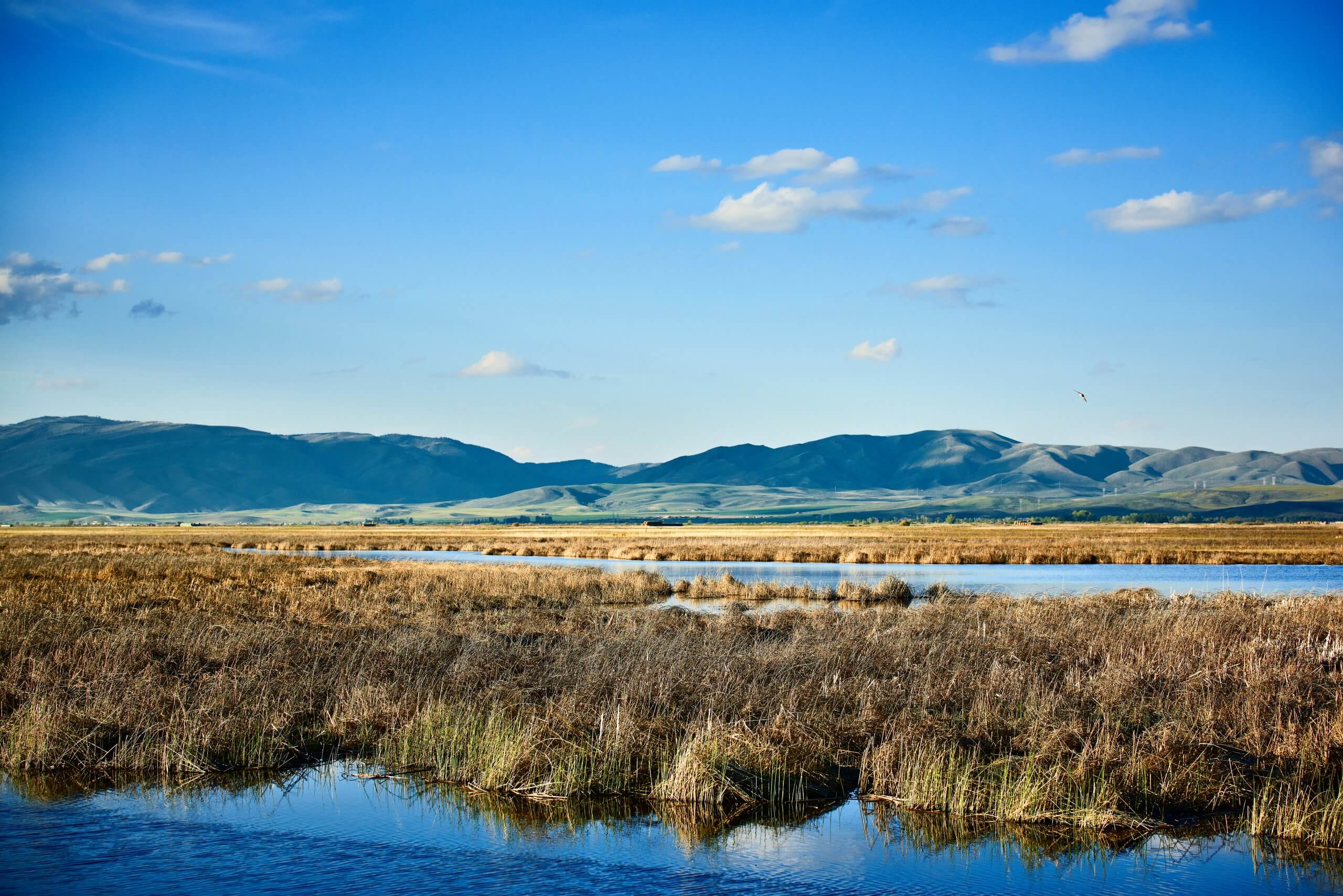 Bear Lake State Park, St. Charles. Photo Credit: Idaho Tourism