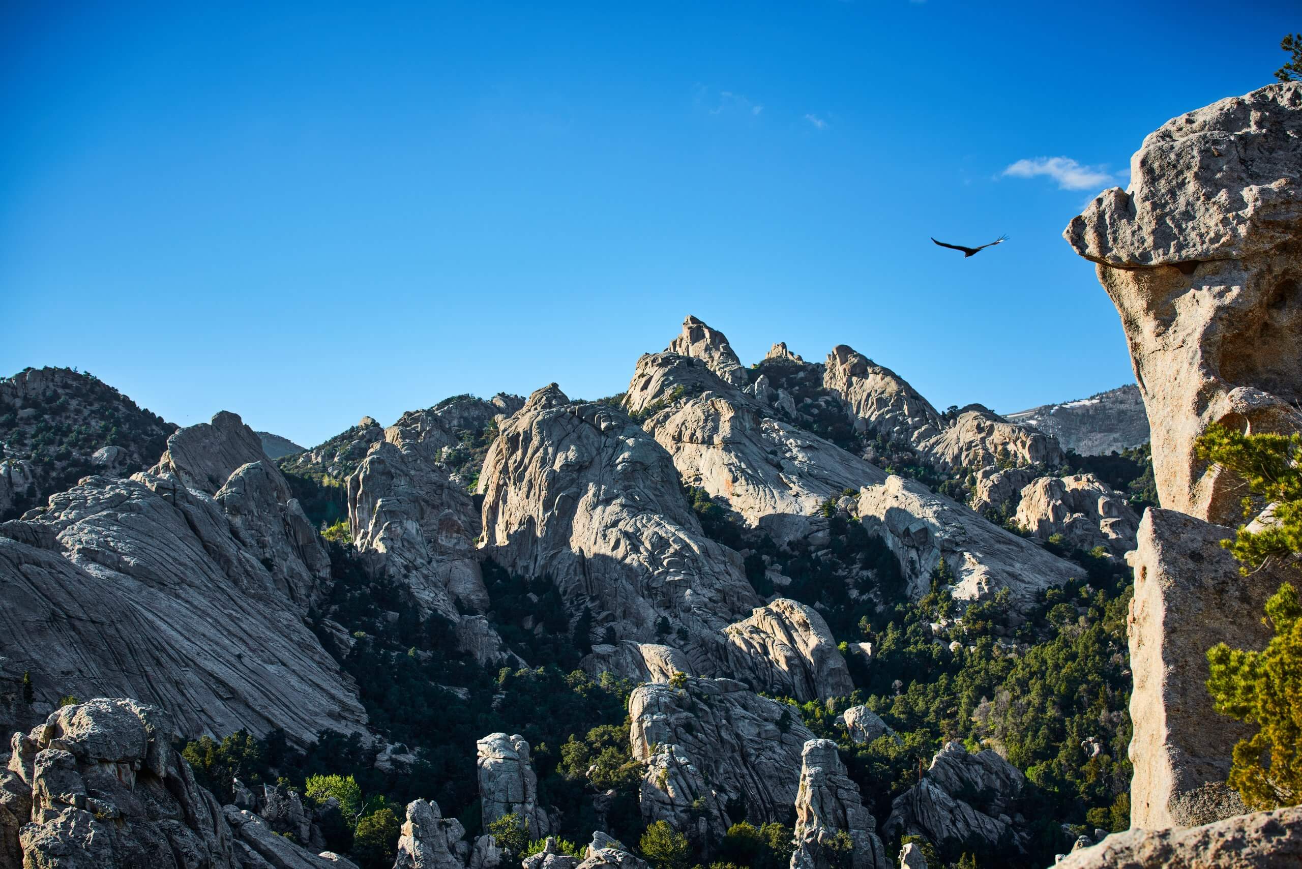 Idaho Ranger Talks & State Park Information