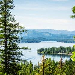 A view of Priest Lake through a forest of trees and tree-covered inlets and mountains in the background.